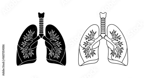 A pair of detailed human lung illustrations; one solid black, one outlined.  Shows bronchial tree and lobes.