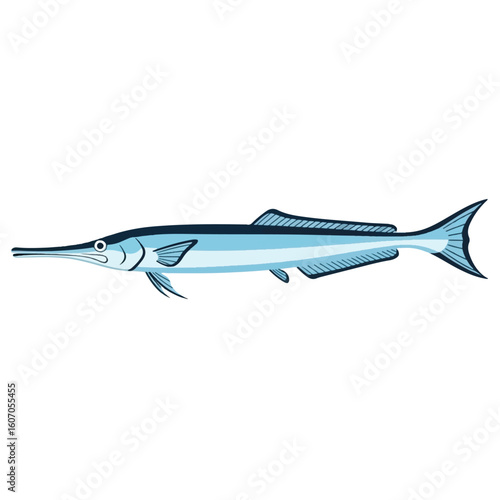 Illustration of a blue needlefish with a long, pointed snout, swimming to the left.
