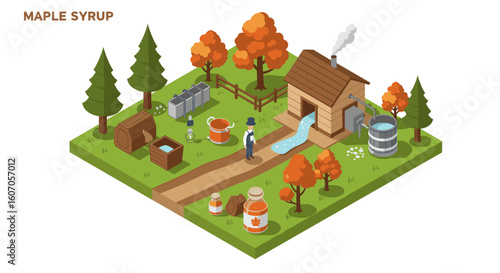 Isometric maple syrup farm with trees, sugar shack, and equipment