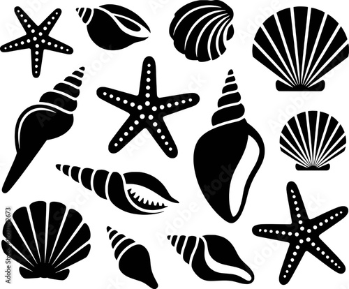 Black silhouettes of seashells and starfishes on white background marine ocean
