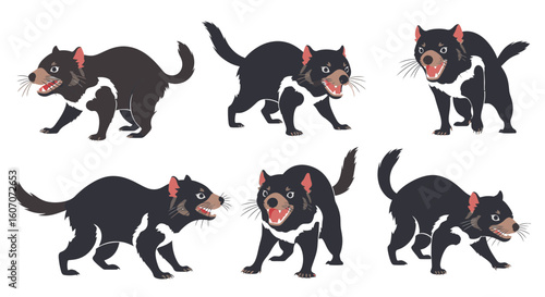 Tasmanian devil illustrations in various playful poses and expressions  