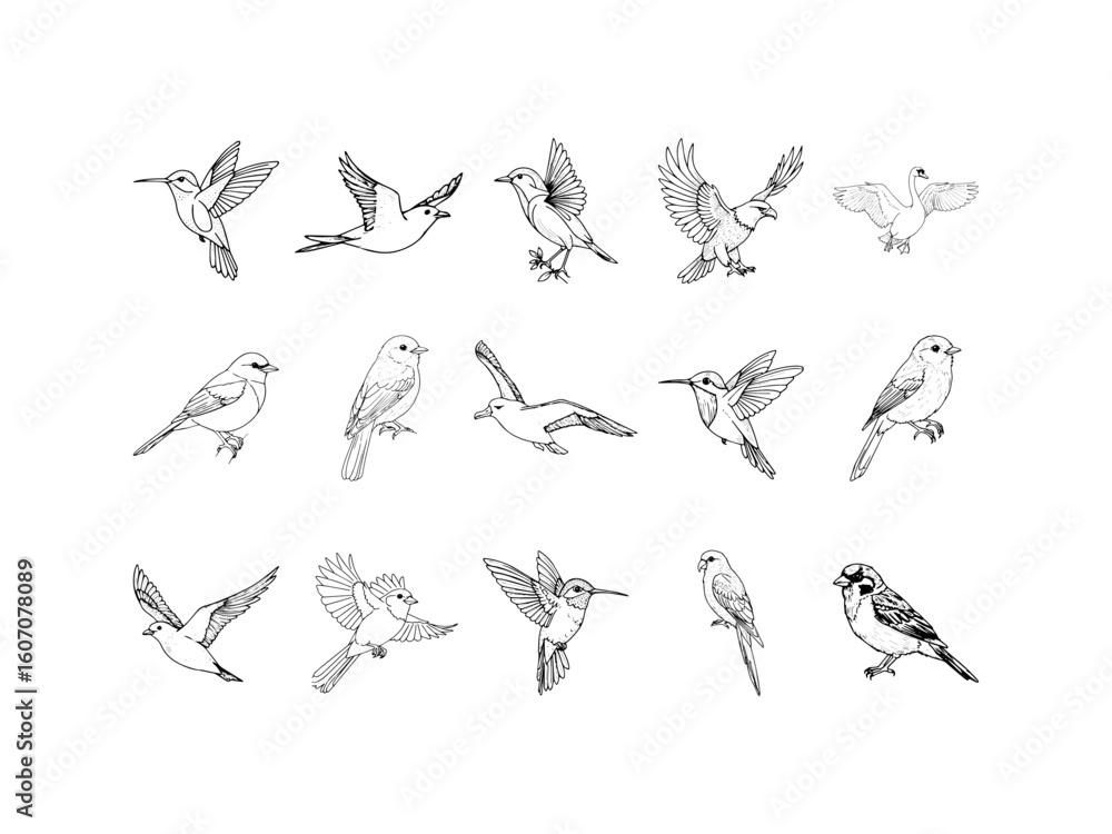 Fototapeta premium Hand Drawn Vector Line Art Bird Sketch Set – Black and White Vintage Bird Illustrations for Nature Art, Wildlife Design, Tattoo, Logo, Doodle Icons Collection 