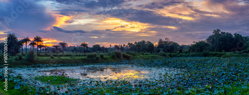 Panoramic image of a sunset over a lake in Bengal, India