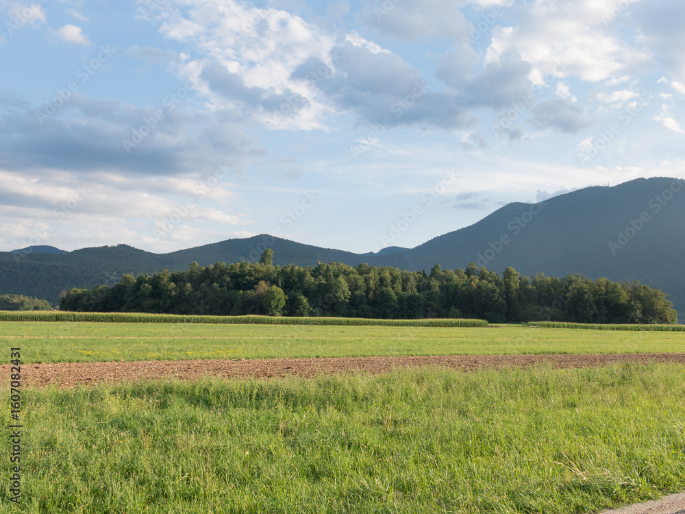 Fototapeta premium Rural nature landscape with mountains and fields