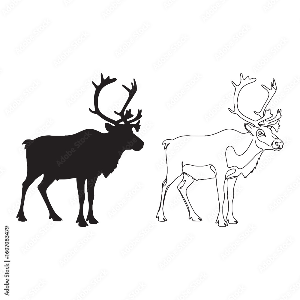 Obraz premium Sturdy Build Illustrated - Caribou Body Outline Package - Defined Silhouette and Precise Lineart - Caribou silhouette - Caribou lineart - Caribou vector - silhouette & lineart of Caribou