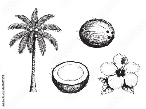 Tropical island engraving with coconut palm tree shell and hibiscus in vintage bold black style