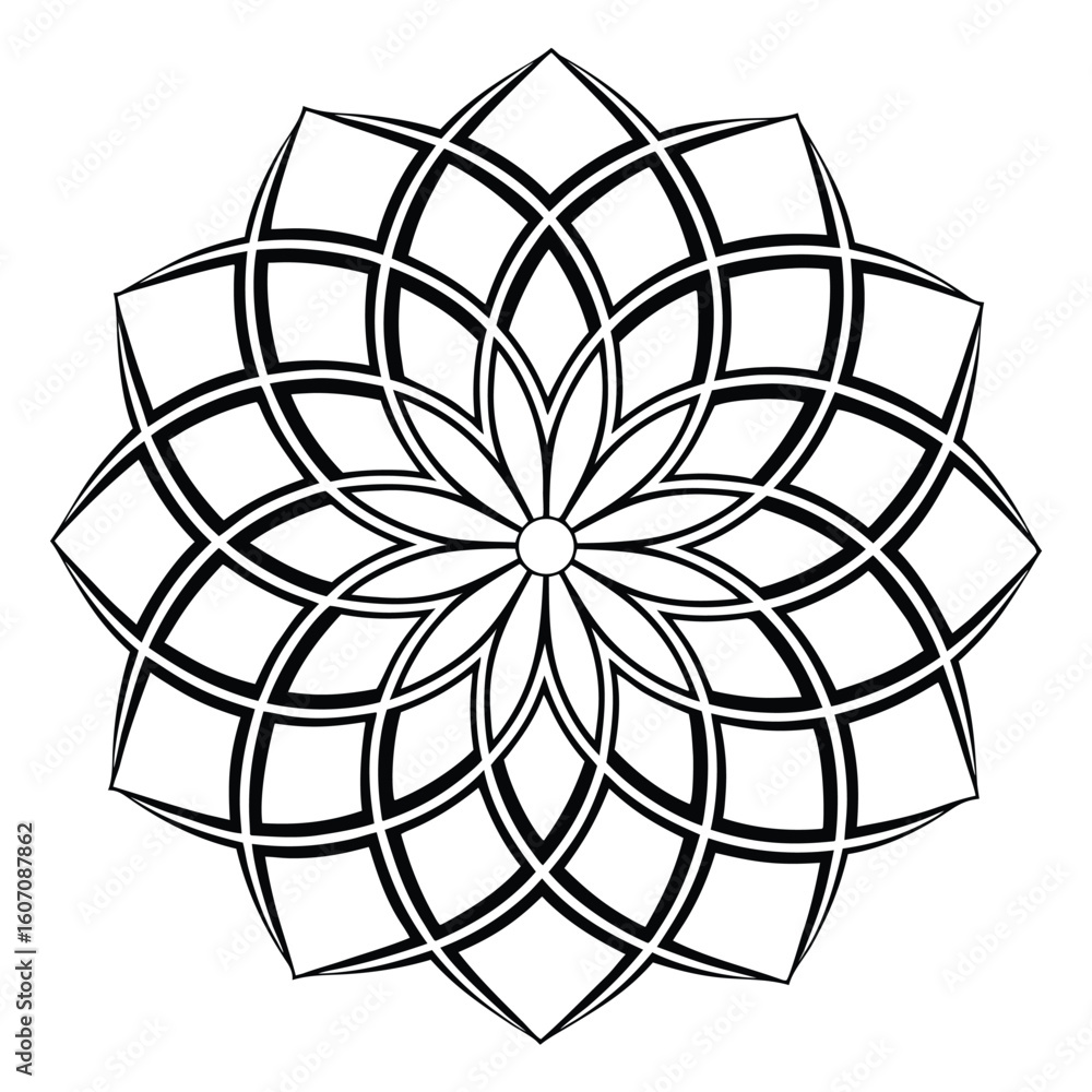 Obraz premium Intricate black and white geometric floral pattern