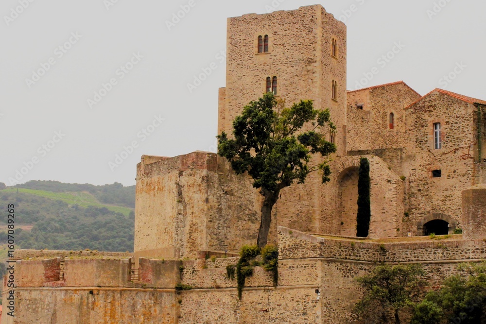 Naklejka premium Fortress