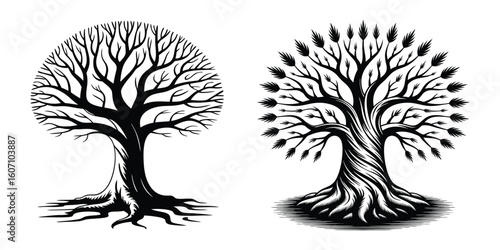 Black Silhouette of a Large Bare Tree with Spreading Branches