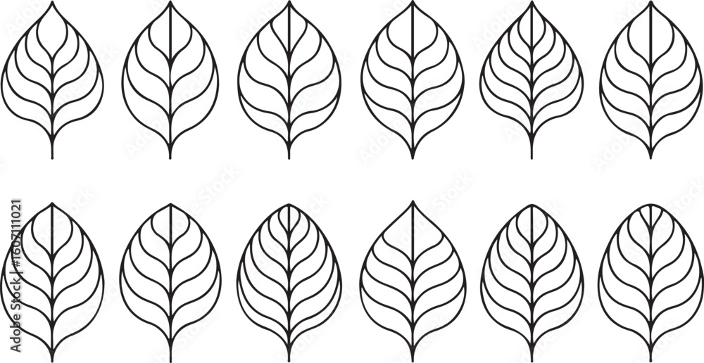 Obraz premium Symmetrical black and white leaf pattern illustration