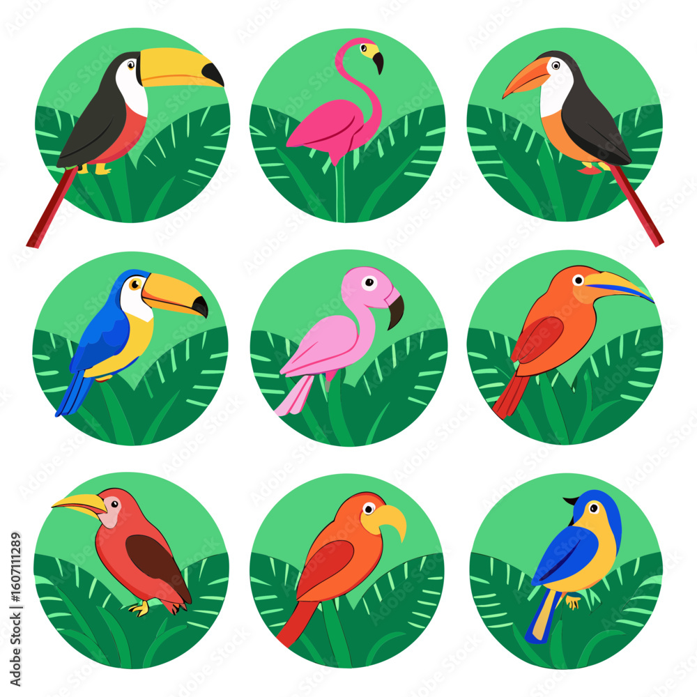 Obraz premium Tropical Birds Collection toucan macaw