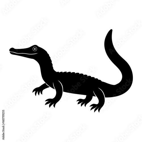 lizard isolated on white