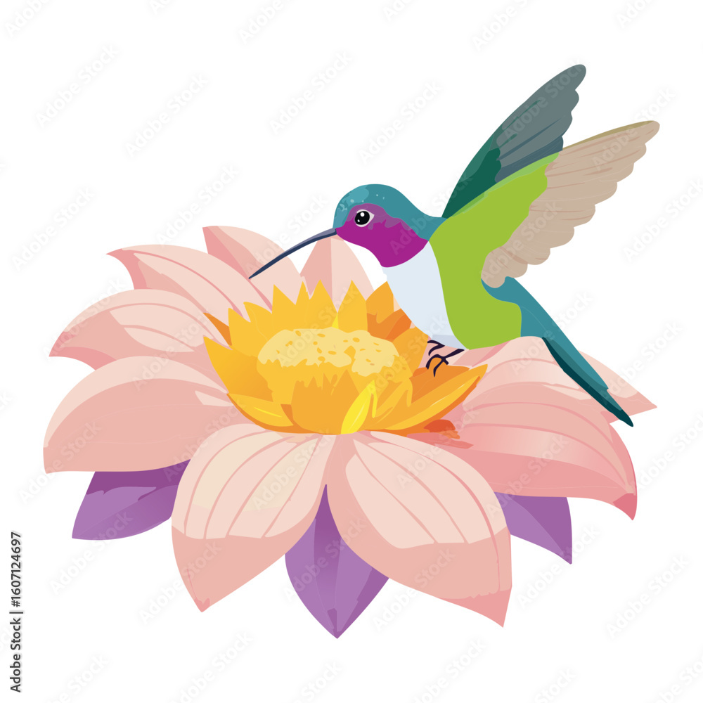 Fototapeta premium Hummingbirds on a Soft Pink Flower Nectar