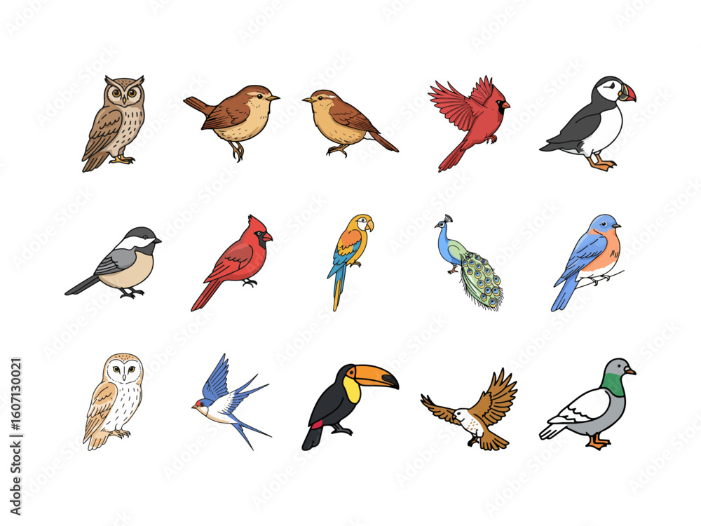 Obraz premium Colorful Different Birds on a Branch Clipart Collection Icon Logo – Hand Drawn Cartoon Birds Set Including Owl, Parrot, Peacock, Toucan, and More for Kids, Nature, and Educational Use