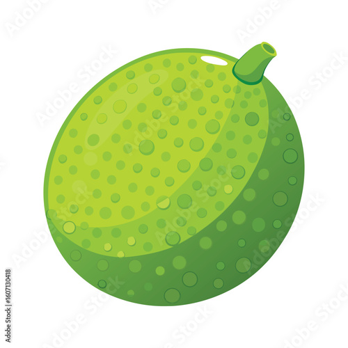 Fresh Green Lime with Textured Surface