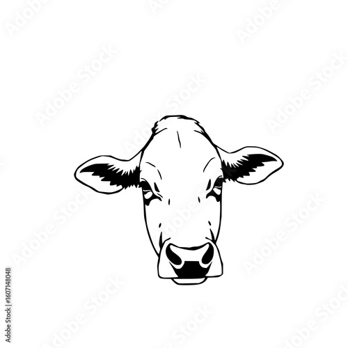 Cattle Head Portrait: A stark black and white line art illustration showcases a cow's head, emphasizing its simple yet expressive features against a clean white background.