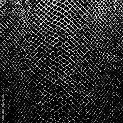 Detailed black and white snake skin pattern with a textured surface and intricate scale design elements
