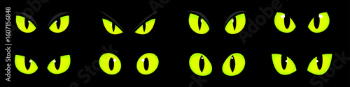 Cat's eyes in a dark. Big set. Yellow Eyes of a cat in the dark. Dangerous eyes of a cat. Vector