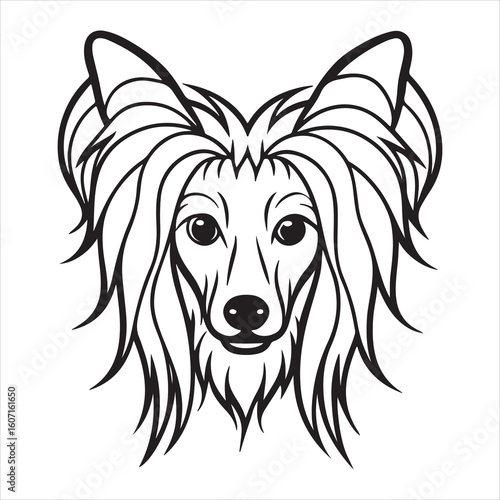 Chinese Crested Charm: Unveiling the Personality of this Exotic Beauty