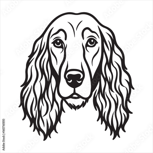 Irish Setter Charm: Unveiling the Vibrant Personality of this Red Dog