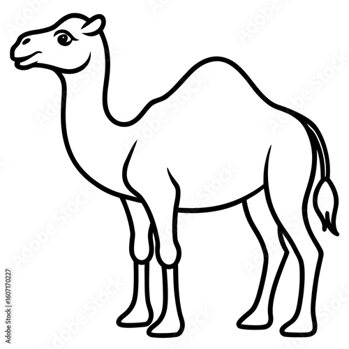 Bactrian camel line art vector