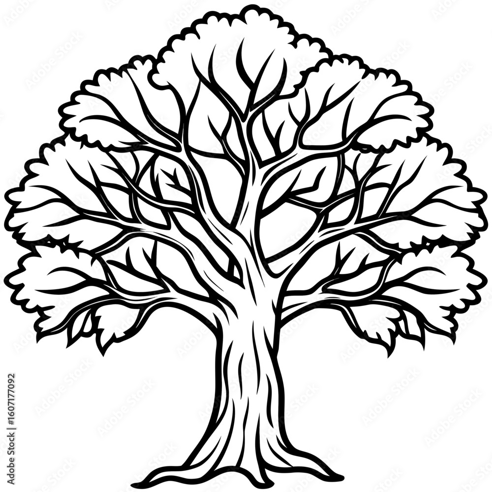 Obraz premium Banyan line art vector