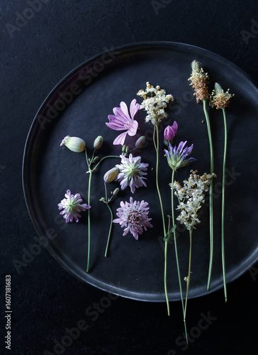 assiette de fleurs  fleurs sauvages  comestibles bienfaits  dangers  design  simplicité nature beauté ephémère