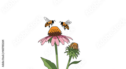 Two bees hovering over a pink coneflower gathering pollen on a sunny day
