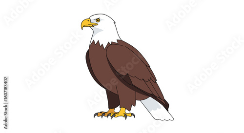 Majestic bald eagle standing proudly illustrating american symbolism and natural beauty with detailed feather patterns and alert gaze