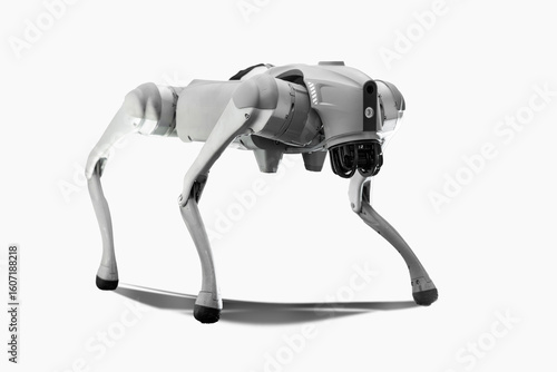 Robotic cyber dog on the plain background.