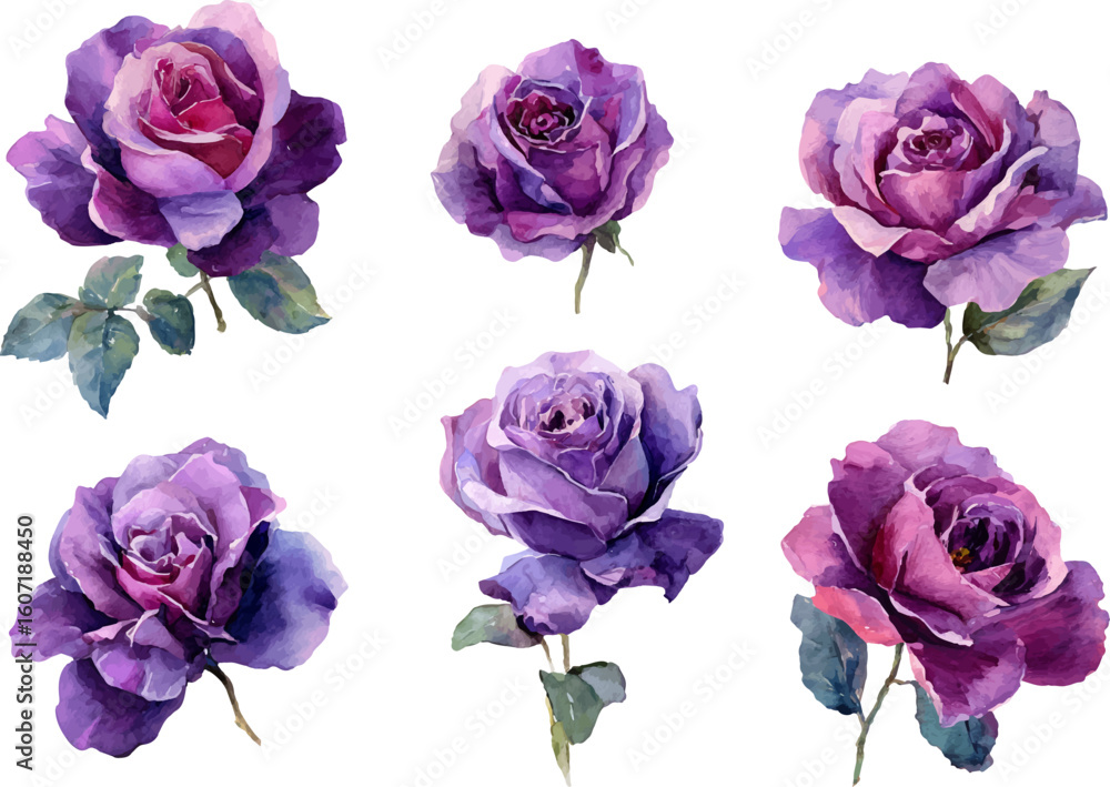 Fototapeta premium bouquet of roses