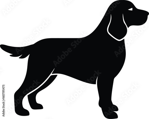 Boykin Spaniel silhouette with floppy ears, bushy tail, and compact frame in alert stance