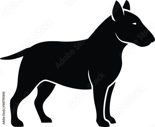 Bull Terrier silhouette with egg-shaped head, muscular frame, and erect ears in proud stance
