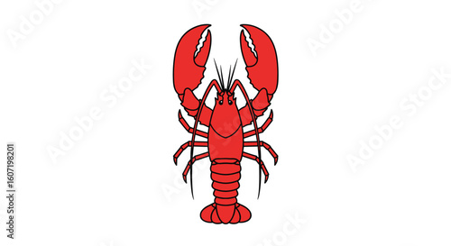 A large red lobster displays its claws proudly on a white background