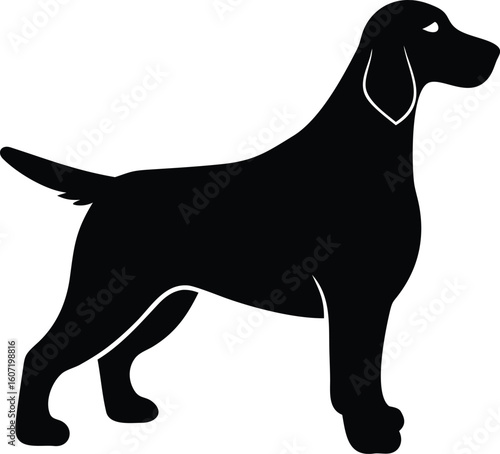 Irish Setter silhouette with flowing ears, feathered tail, and elegant frame in poised stance