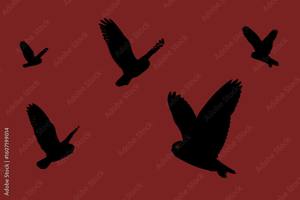 Fototapeta premium shablon, Collection of Owl Vector Illustrations