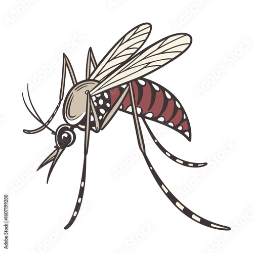 Detailed Silhouette of a Mosquito Vector Illustration on White Background