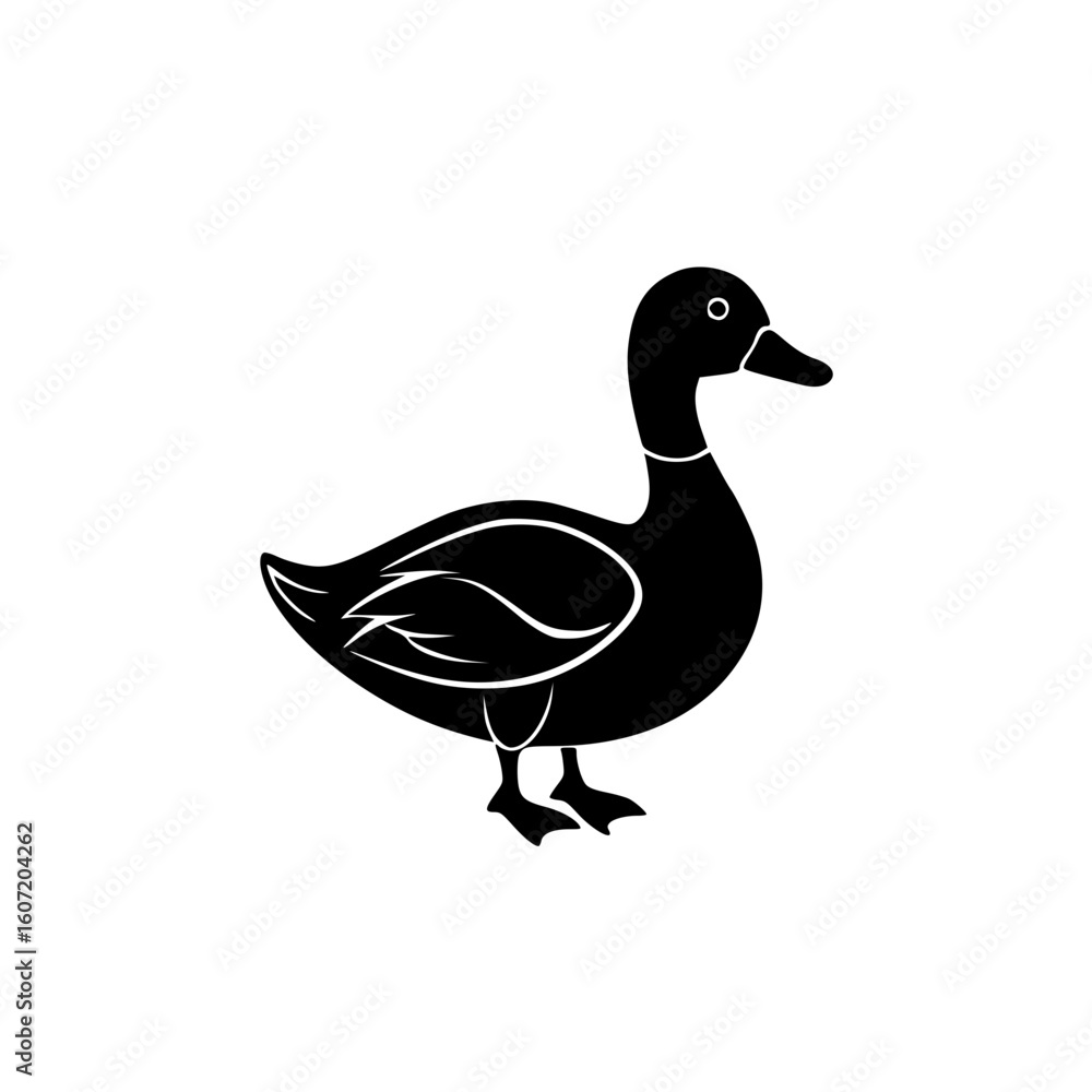 duck vector illustration duck vector illustration