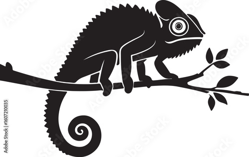 vector illustration of a kangaroo