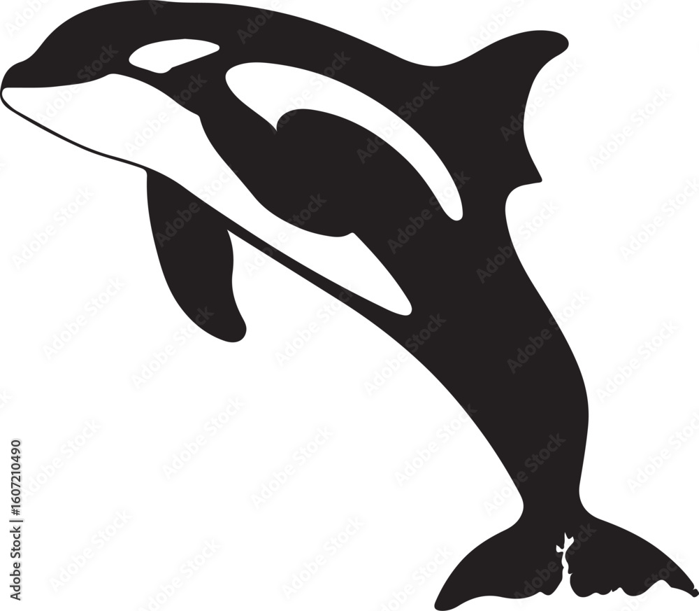 Obraz premium dolphin isolated on white background