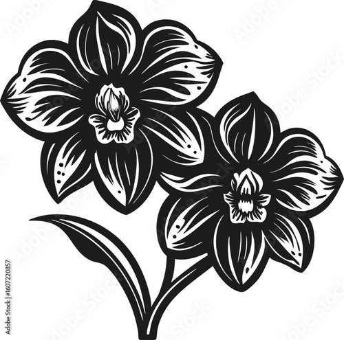 Orchid floral illustration detailed black and white botanical drawing of blooming orchid flowers with leaves, vintage