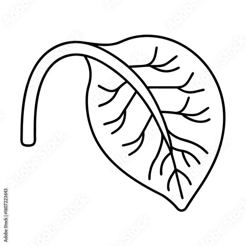 Placenta Growth Illustration Leafy Shape Inside Womb Design for Medical and Biological Use