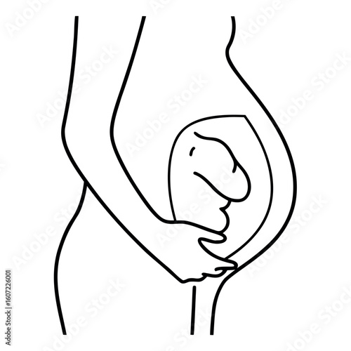Second Trimester Pregnancy Silhouette Growing Belly Illustration for Maternity Designs