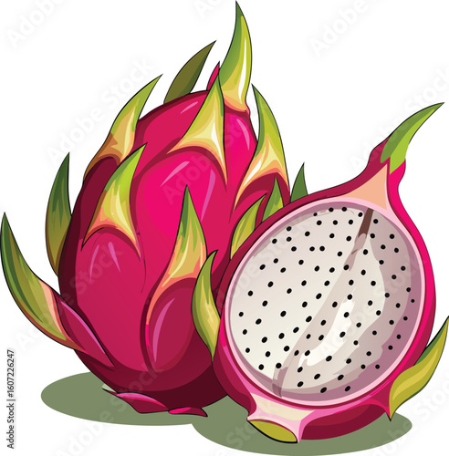Vibrant Dragon Fruit Illustration Whole and Half Pitaya with Detailed Seeds