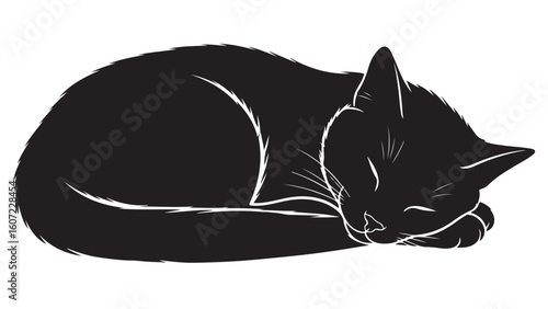 Black cat sleeping curled up, vector illustration in silhouette on white background