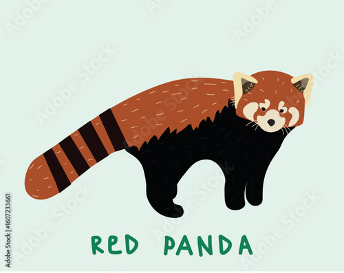 Cute red Panda (little Panda). Red book animals, endangered species. Hand vector illustration.