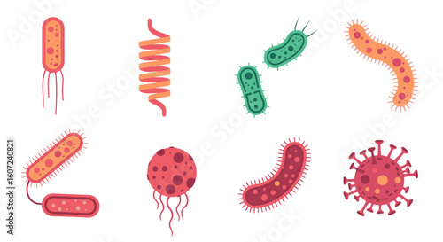 Diverse bacteria illustrations for medical, scientific, or educational design projects
