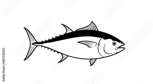 Detailed monochrome illustration of a streamlined tuna fish, presented on a clean white backdrop, showcasing its unique anatomy