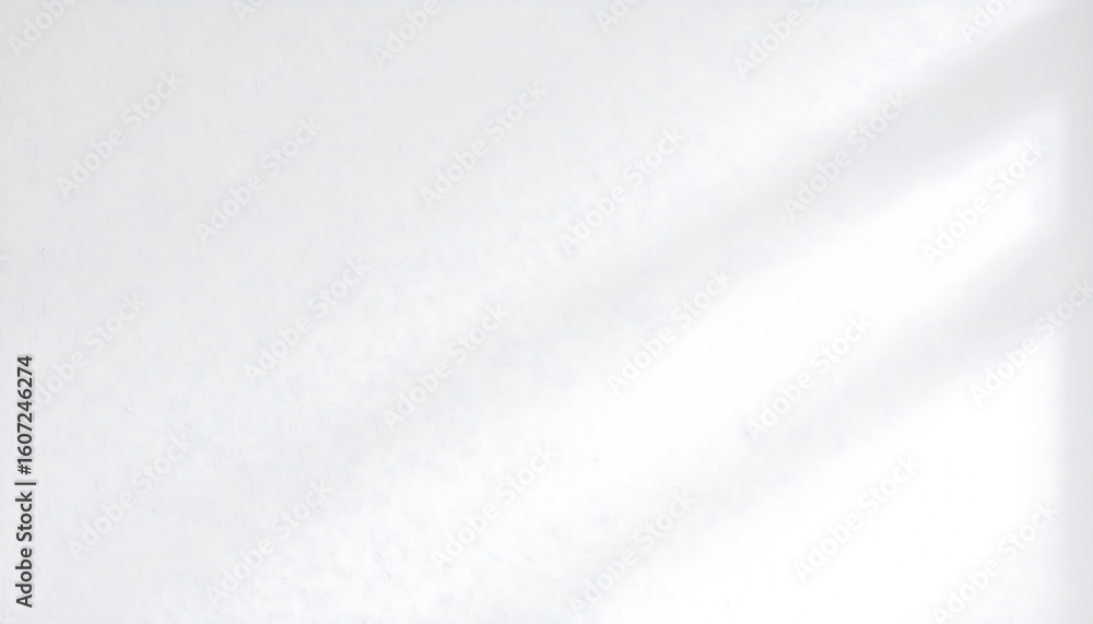 Obraz premium Soft light shadows on a plain wall