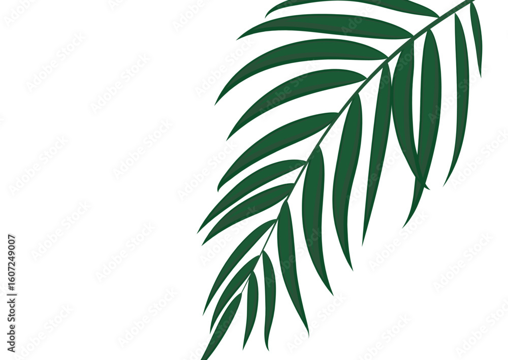 Obraz premium Beautiful Palm Tree Leaves Silhouette Background Vector